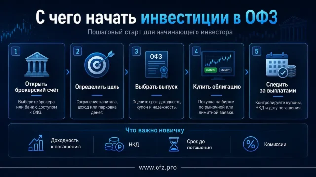 Инвестиции в ОФЗ: с чего начать физическому лицу