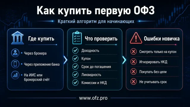 Инвестиции в ОФЗ: с чего начать физическому лицу